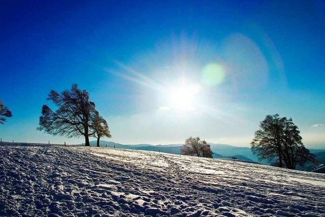 Fotos: Die schnsten Schneelandschaften rund um Freiburg