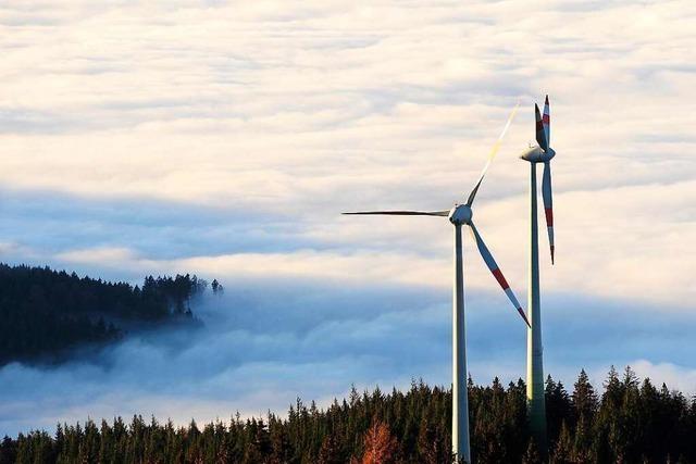 Am Taubenkopf bei Freiburg sollen zwei Windrder entstehen