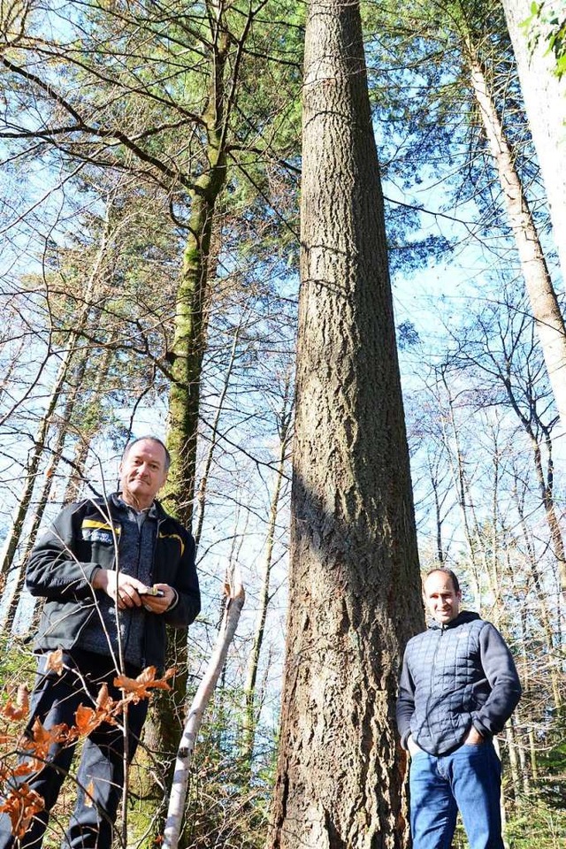 Forstwissenschaftler Frank Krumm (rech...er Bernhard Schirmer im Kanderner Wald  | Foto: Moritz Lehmann