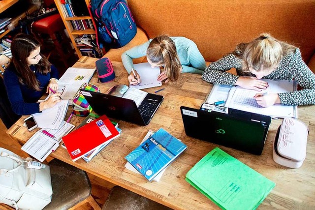Es ist weiter Home-Schooling angesagt:...m Unterricht am Esstisch (Symbolbild).  | Foto: Hauke-Christian Dittrich (dpa)