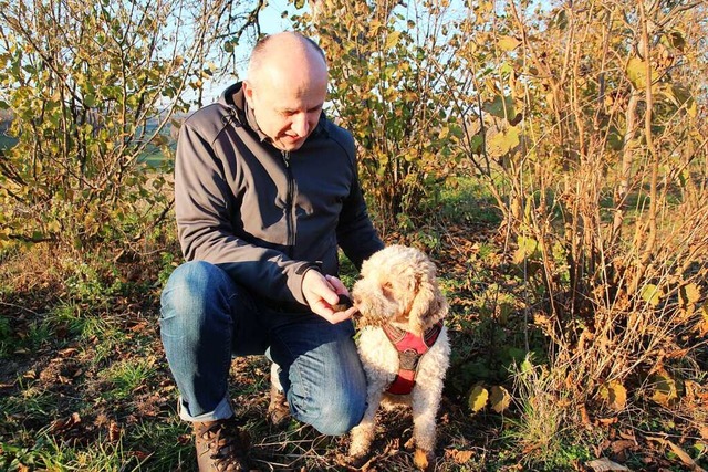 Hans-Georg Pfller lsst Trffelhund Emma an einem Burgundertrffel schnuppern.  | Foto: Michael Saurer