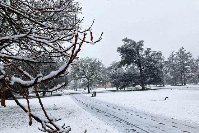 Feldberg erneut fr Schwerlastverkehr gesperrt – auch in den Tieflagen schneit es