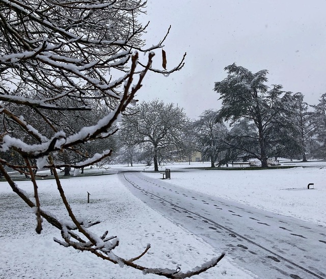 Ungewohnter Anblick: Schneedecke im Herbert-King-Park  | Foto: Dora Schls