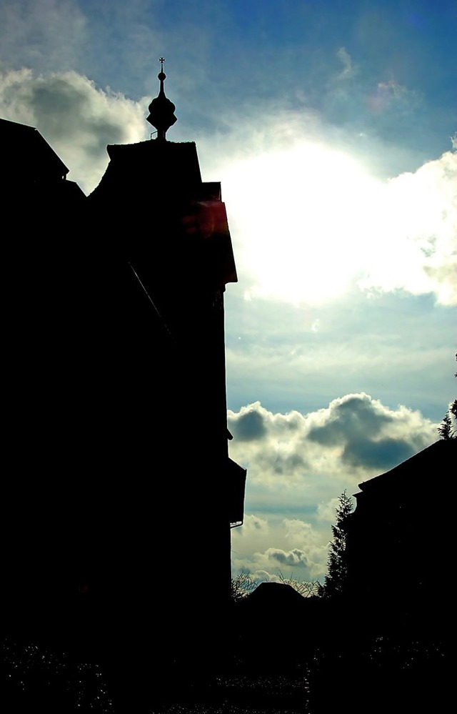 Der Disput um das Maltesterschloss hat vieles berschattet.  | Foto: Markus Donner