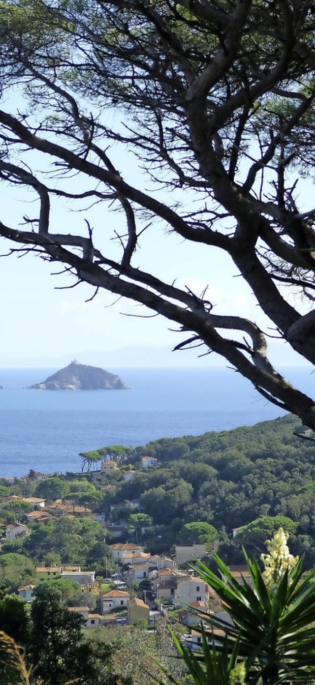 ber Cavo blickt man auf die winzige Isola dei Topi, die Museinsel.  | Foto: Florian Sanktjohanser (dpa)