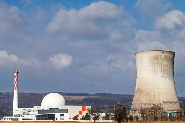 BUND stellt Strafanzeige wegen Brennelement-Lieferung ins Atomkraftwerk Leibstadt