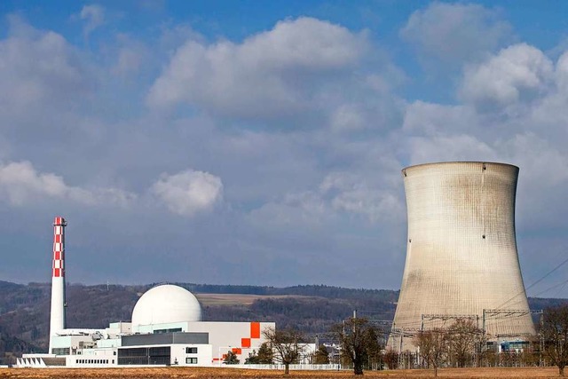 Das Atomkraftwerk Leibstadt  | Foto: Alexandra Wey (dpa)