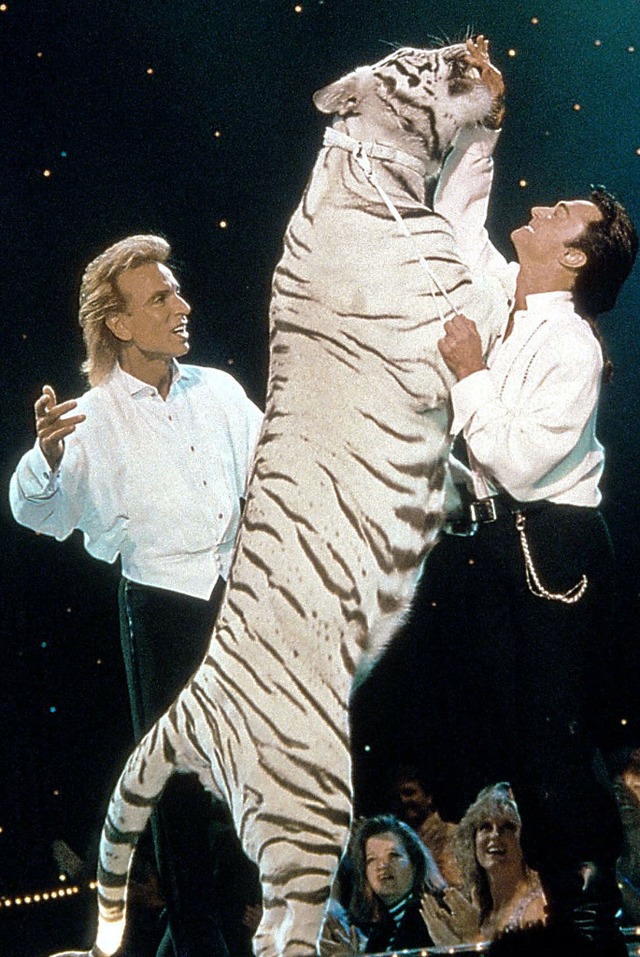 Siegfried (links) und Roy mit einem ihrer weien Tiger  | Foto: atyoursite