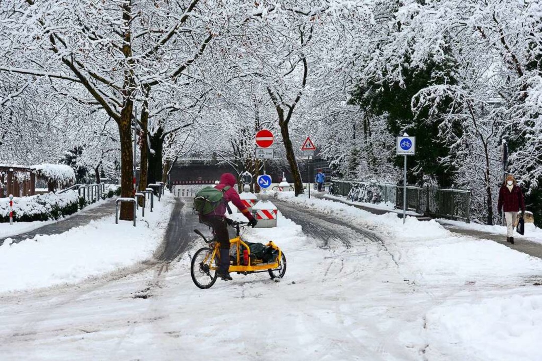 Radfahrer in der Wentzingerstrae  | Foto: Ingo Schneider