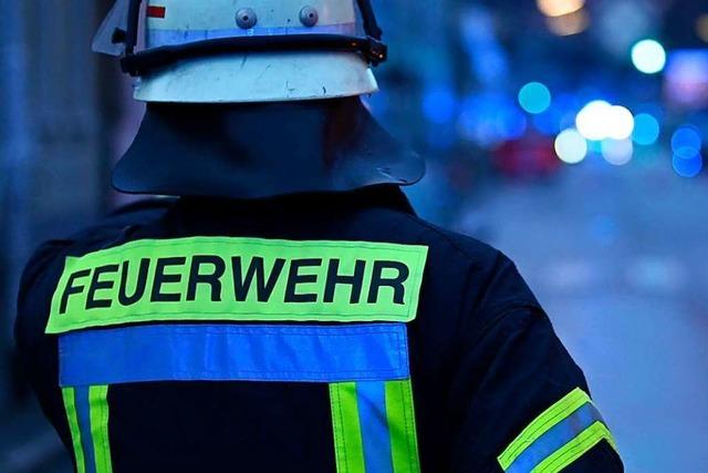 Die Feuerwehr Lrrach rettet einen Hund aus einem Dachsbau