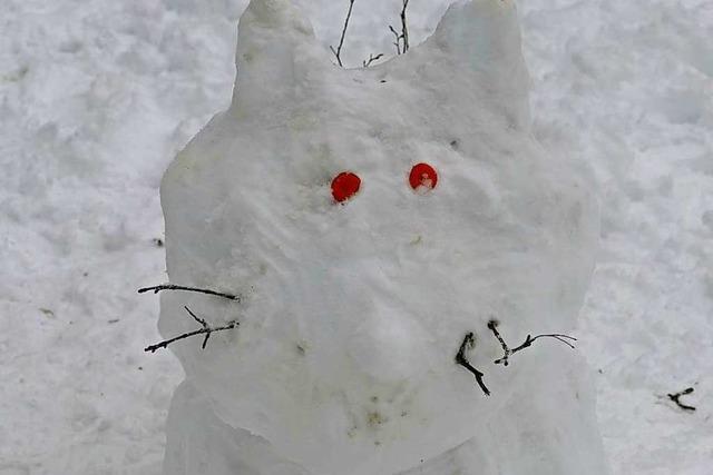 Fotos: Ungewohnter Wintereinbruch im BZ-Gebiet Rheinfelden