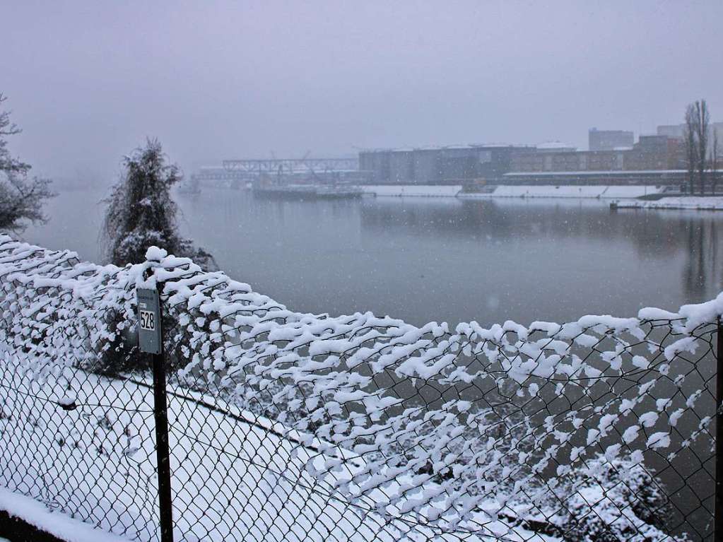 Winter am Rhein