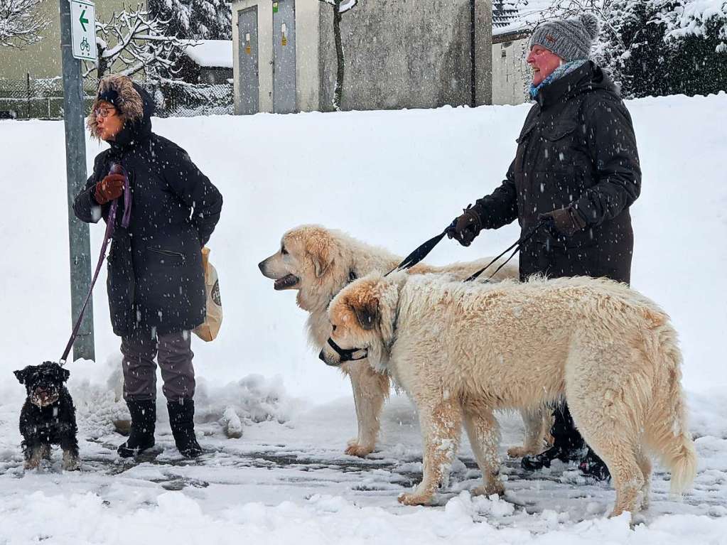 Das war kein Hundswetter am Freitag