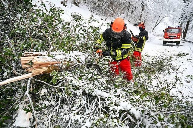 Schneefall fhrt zu Stromausfllen in zahlreichen Ortenau-Gemeinden