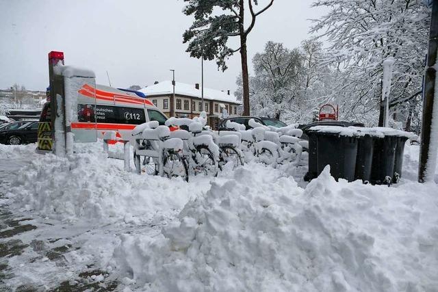 Schnee bringt am Hochrhein viele Bume zu Fall