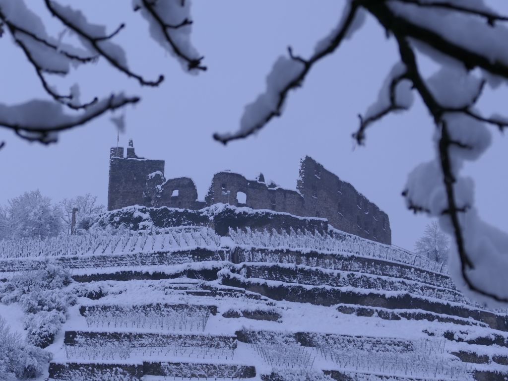 Heftige Schneeflle verzaubern Staufen: Burg, Schlossberg und die historische Altstadt mit Rathaus, Kirche, Marktplatz, Hotels, Restaurants und Geschften versinken in einem Traum von Wei. Impressionen aus dem Winter-Wunderland.