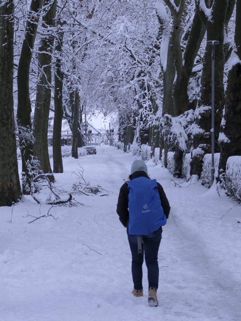 Heftige Schneeflle verzaubern Staufen: Burg, Schlossberg und die historische Altstadt mit Rathaus, Kirche, Marktplatz, Hotels, Restaurants und Geschften versinken in einem Traum von Wei. Impressionen aus dem Winter-Wunderland.