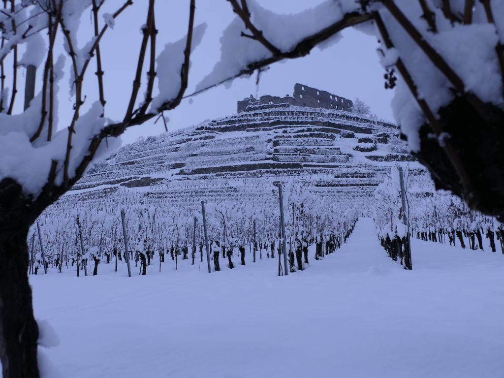 Heftige Schneeflle verzaubern Staufen: Burg, Schlossberg und die historische Altstadt mit Rathaus, Kirche, Marktplatz, Hotels, Restaurants und Geschften versinken in einem Traum von Wei. Impressionen aus dem Winter-Wunderland.