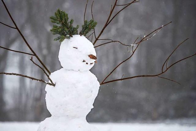 Schneemann, Schneefrau, Schneehund – wer baut die schönste Schneefigur?