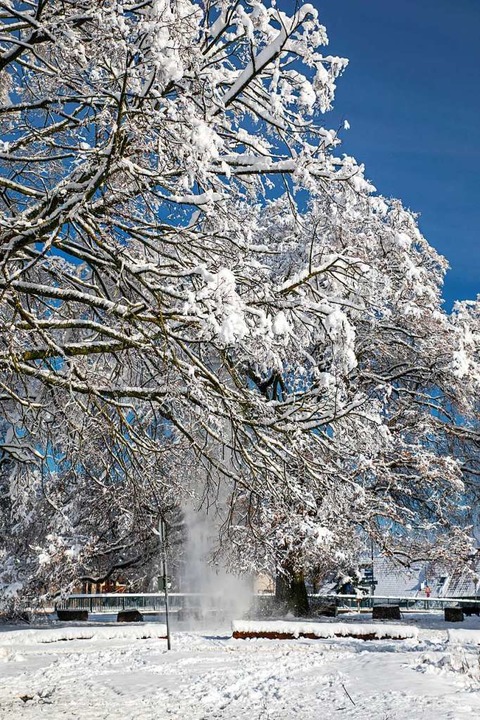 Winterlandschaft in March  | Foto: Hubert Gemmert