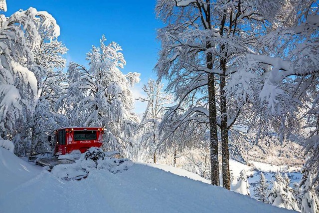 Das Pistenbullytaxi hlt an einem Auss...unkt mitten im tief verschneiten Wald.  | Foto: Philipp von Ditfurth (dpa)