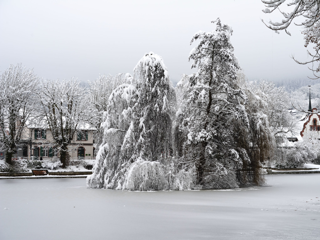 Heftige Schneeflle verzaubern Staufen: Burg, Schlossberg und die historische Altstadt mit Rathaus, Kirche, Marktplatz, Hotels, Restaurants und Geschften versinken in einem Traum von Wei. Impressionen aus dem Winter-Wunderland.