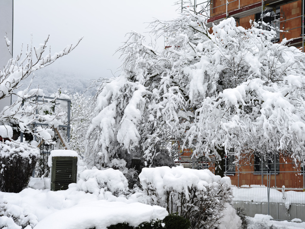 Heftige Schneeflle verzaubern Staufen: Burg, Schlossberg und die historische Altstadt mit Rathaus, Kirche, Marktplatz, Hotels, Restaurants und Geschften versinken in einem Traum von Wei. Impressionen aus dem Winter-Wunderland.