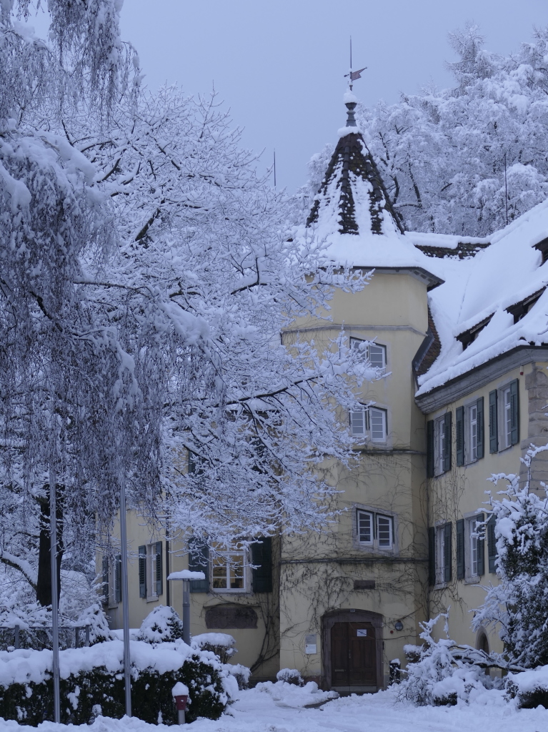 Heftige Schneeflle verzaubern Staufen: Burg, Schlossberg und die historische Altstadt mit Rathaus, Kirche, Marktplatz, Hotels, Restaurants und Geschften versinken in einem Traum von Wei. Impressionen aus dem Winter-Wunderland.