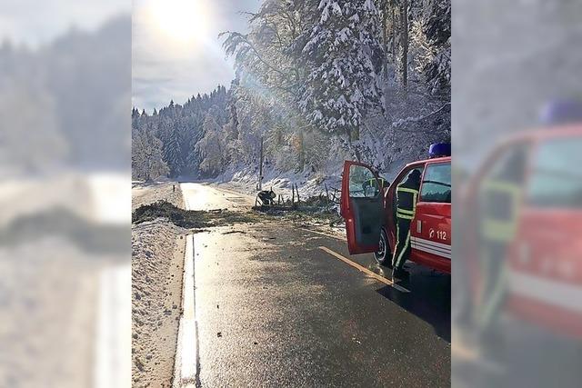 Zwei Einstze der Feuerwehr