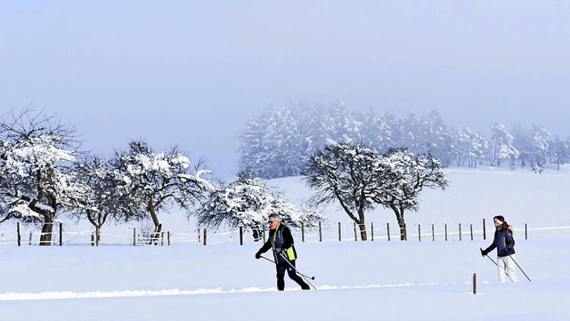 Loipen im Rothauser Land laden zum Wintersport mit Abstand ein.   | Foto: Wilfried Dieckmann