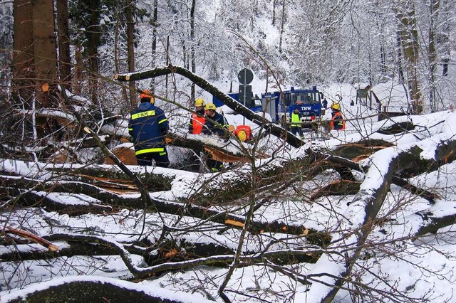 THW-Einsatz 2006: Ein gewaltiger Ast d...insonbuche in Kuhbach war abgebrochen.  | Foto: THW