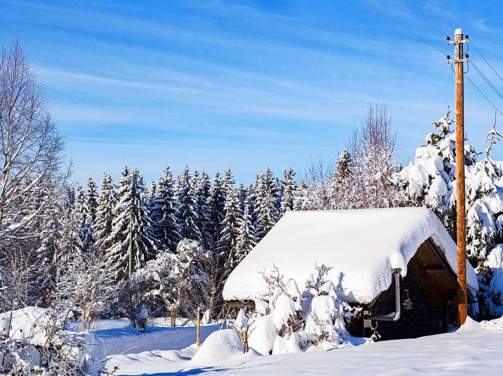 Winterwunderland am und in Schluchsee