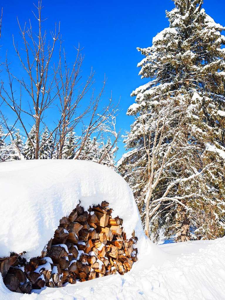 Winterwunderland am und in Schluchsee