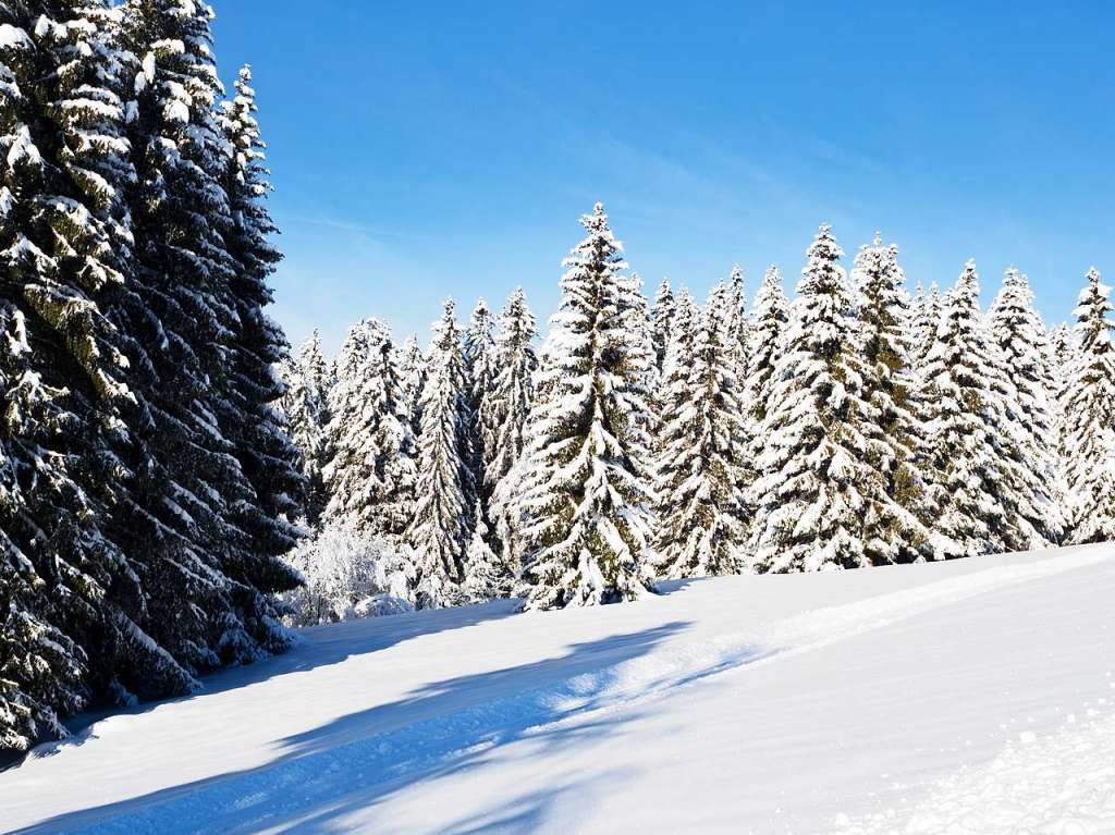 Winterwunderland am und in Schluchsee