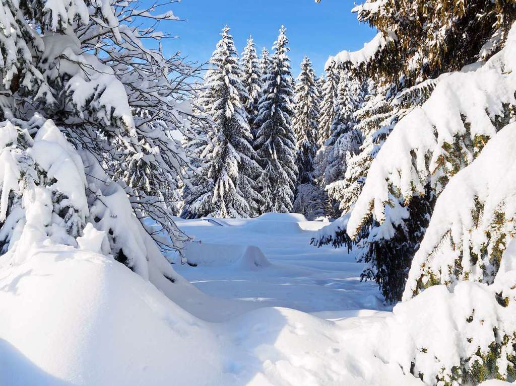 Winterwunderland am und in Schluchsee