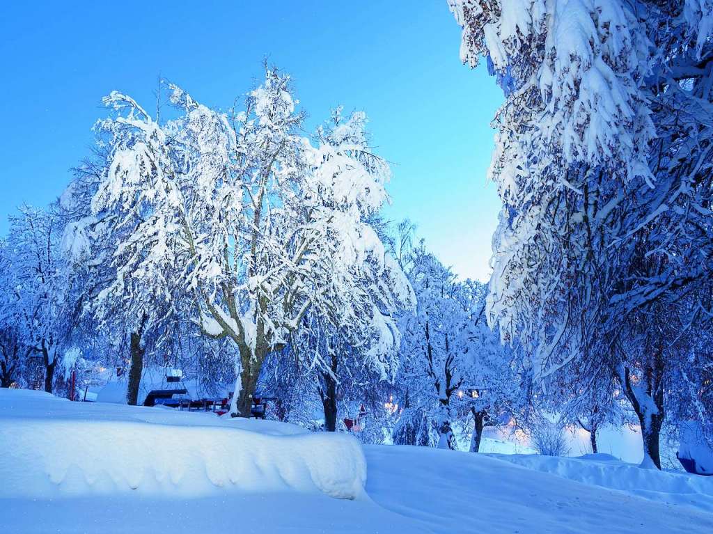 Winterwunderland am und in Schluchsee