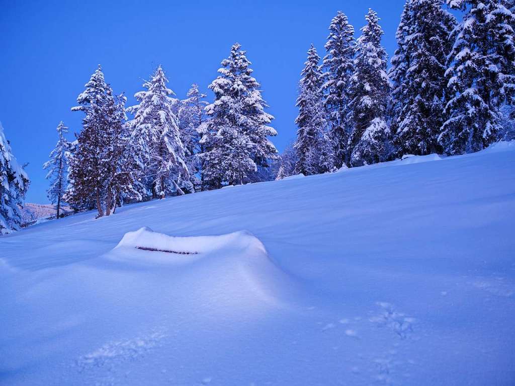 Winterwunderland am und in Schluchsee