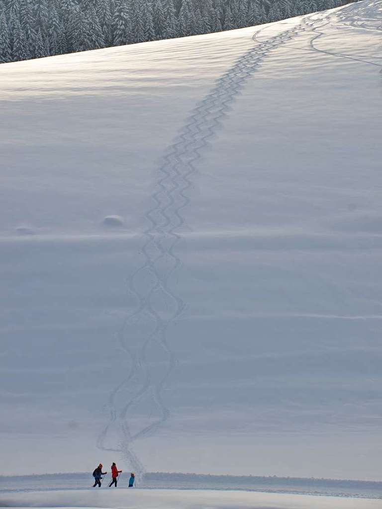 Spuren im Schnee in Waldau