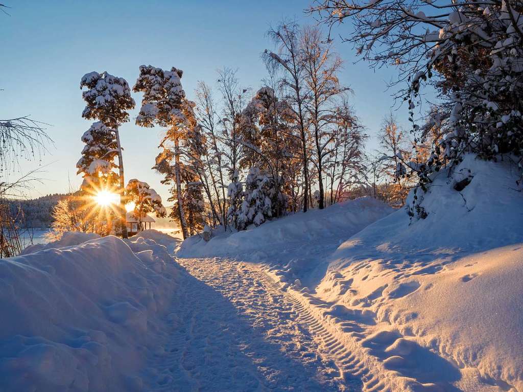 Winterwunderland am und in Schluchsee