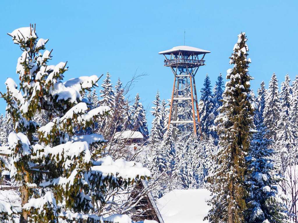 Winterwunderland am und in Schluchsee