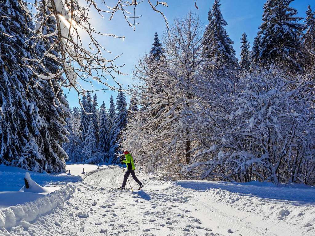 Winterwunderland am und in Schluchsee