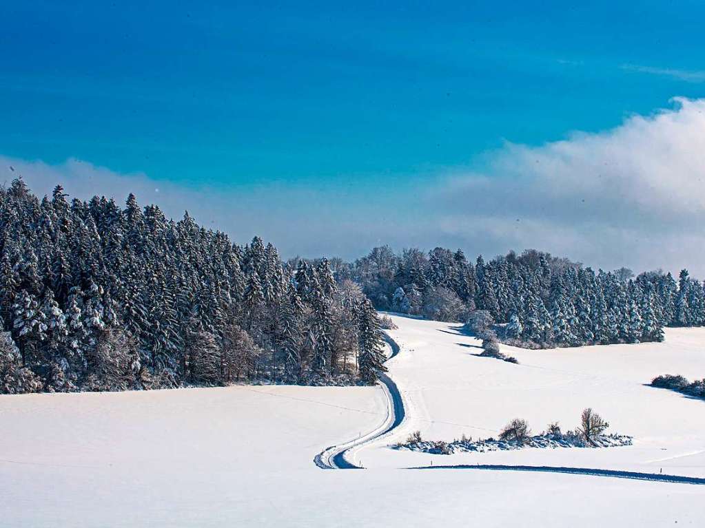 Natur pur - wenig Farben - viel Struktur (bei Lenzkirch)