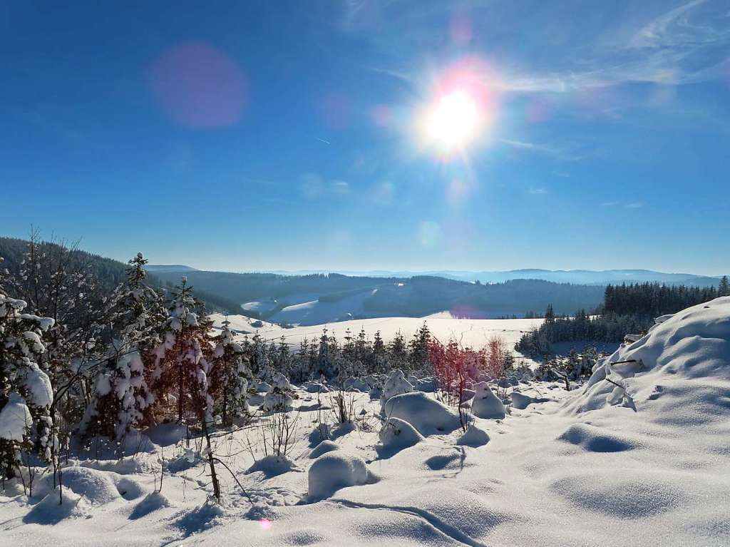 Winterwunderwelt in Waldau