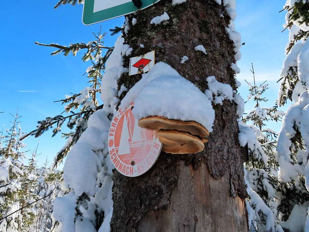 Winterwunderwelt in Waldau