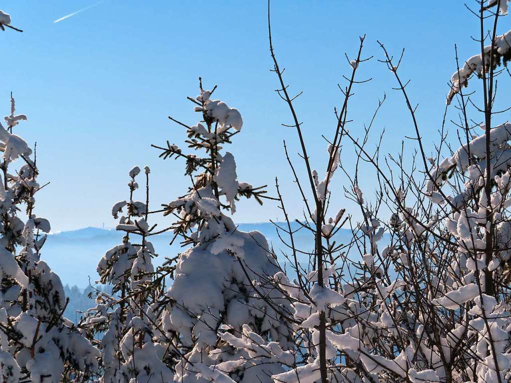 Winterwunderwelt in Waldau