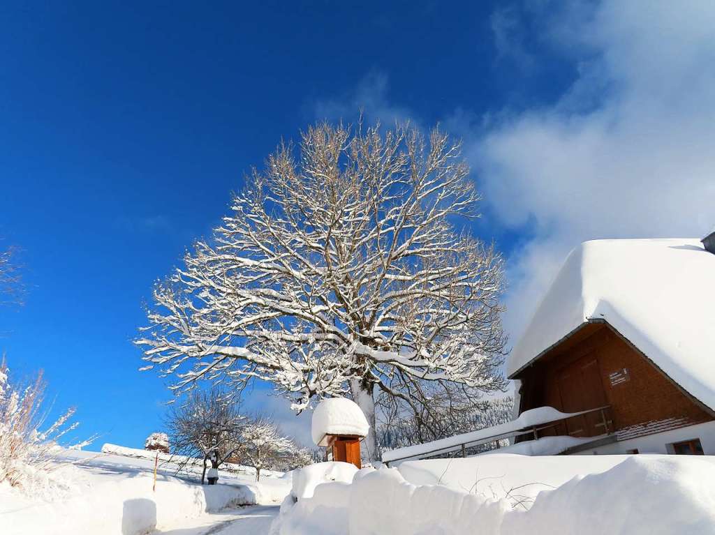 Winterwunderwelt in Waldau