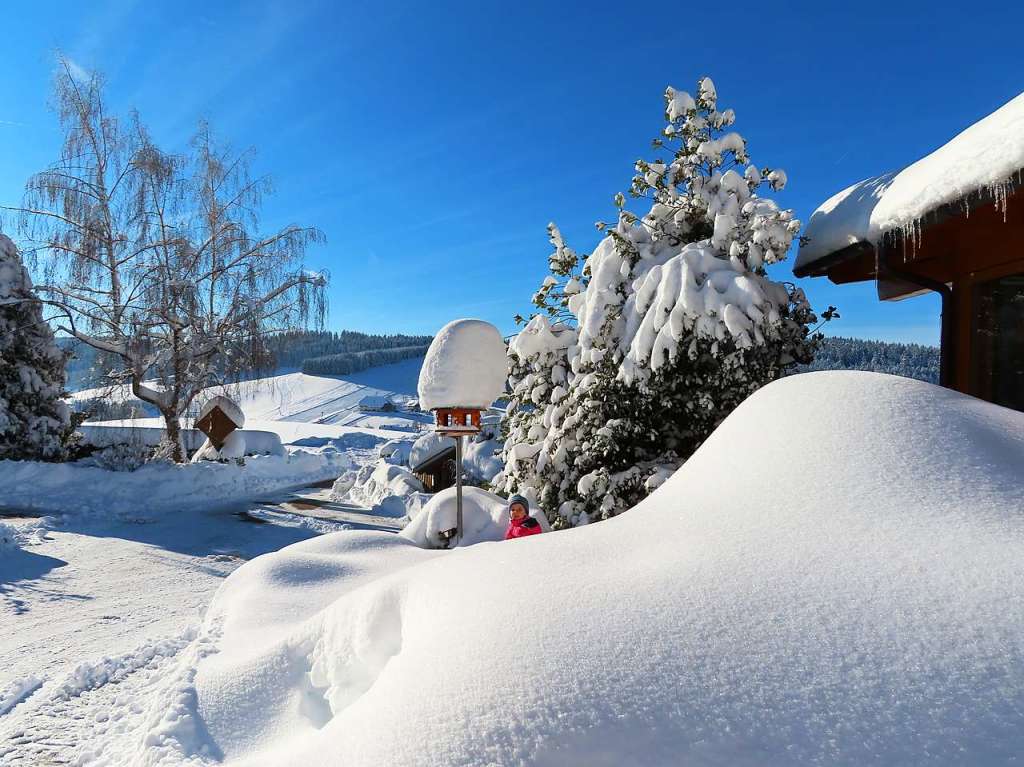 Winterwunderwelt in Waldau