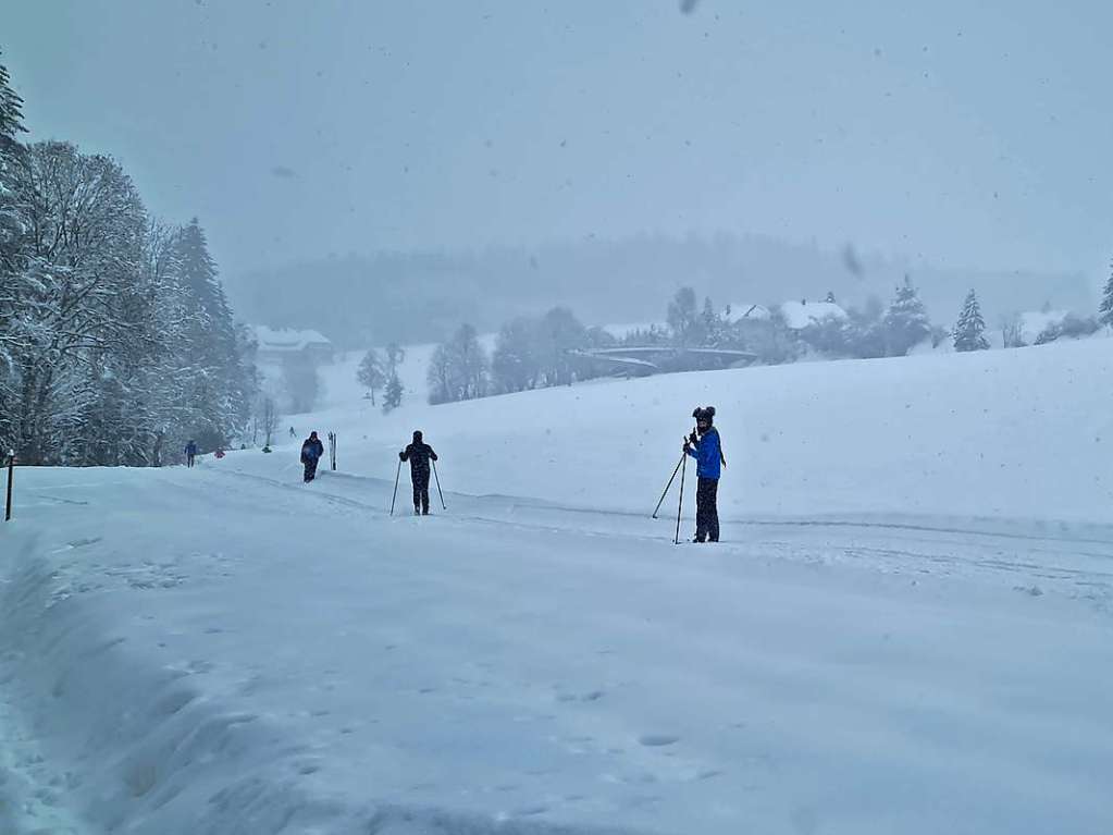 Starker Schneefall trbt das Loipenglck in Hinterzarten trotzdem nicht.