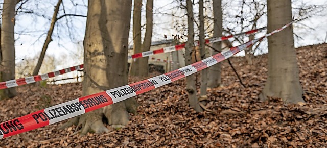Der Wald bei Seevetal in Niedersachsen wurde weitrumig abgesperrt.  | Foto: Axel Heimken (dpa)
