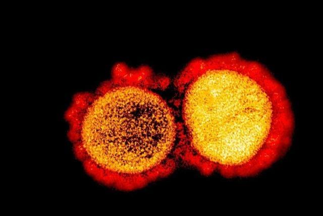 Mglicherweise neue Coronavirus-Variante in Garmischer Klinikum
